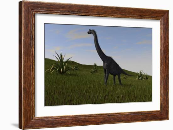 Brachiosaurus Grazing in a Grassy Field-null-Framed Art Print
