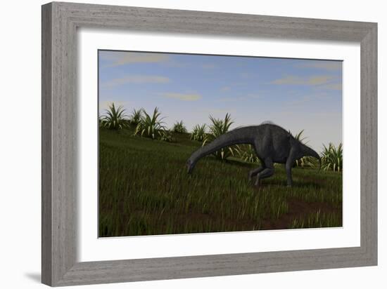 Brachiosaurus Grazing in a Grassy Field-null-Framed Art Print