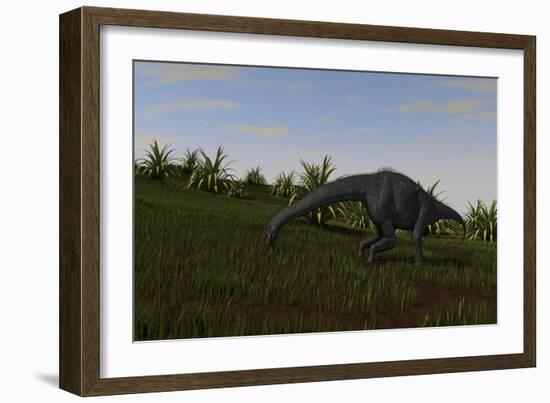 Brachiosaurus Grazing in a Grassy Field-null-Framed Art Print