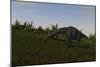 Brachiosaurus Grazing in a Grassy Field-null-Mounted Art Print