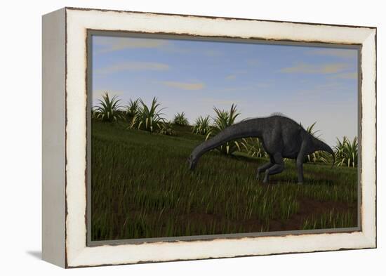 Brachiosaurus Grazing in a Grassy Field-null-Framed Stretched Canvas