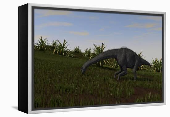 Brachiosaurus Grazing in a Grassy Field-null-Framed Stretched Canvas