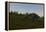 Brachiosaurus Grazing in a Grassy Field-null-Framed Stretched Canvas