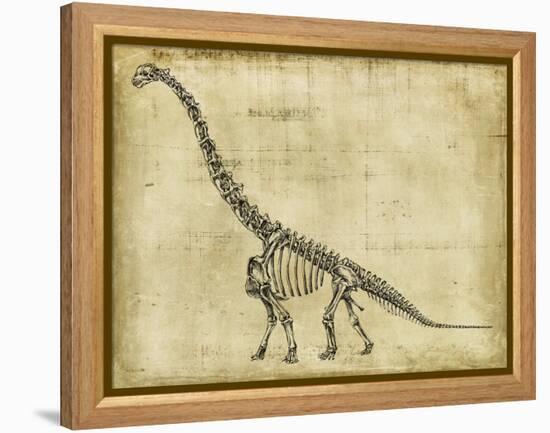 Brachiosaurus Study-Ethan Harper-Framed Stretched Canvas