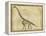 Brachiosaurus Study-Ethan Harper-Framed Stretched Canvas