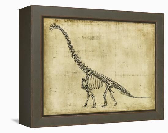 Brachiosaurus Study-Ethan Harper-Framed Stretched Canvas