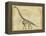 Brachiosaurus Study-Ethan Harper-Framed Stretched Canvas