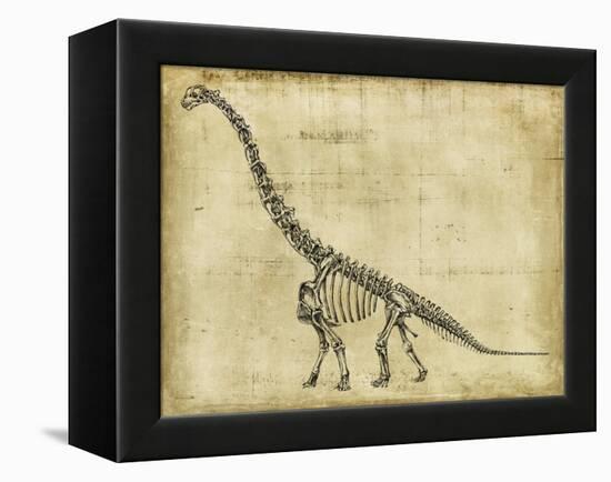 Brachiosaurus Study-Ethan Harper-Framed Stretched Canvas