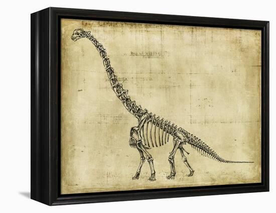 Brachiosaurus Study-Ethan Harper-Framed Stretched Canvas