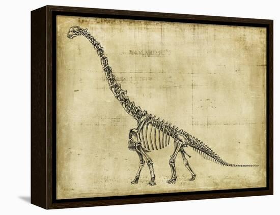 Brachiosaurus Study-Ethan Harper-Framed Stretched Canvas