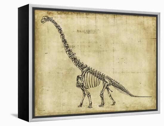 Brachiosaurus Study-Ethan Harper-Framed Stretched Canvas