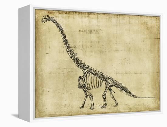 Brachiosaurus Study-Ethan Harper-Framed Stretched Canvas