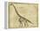 Brachiosaurus Study-Ethan Harper-Framed Stretched Canvas