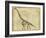 Brachiosaurus Study-Ethan Harper-Framed Premium Giclee Print