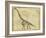 Brachiosaurus Study-Ethan Harper-Framed Art Print