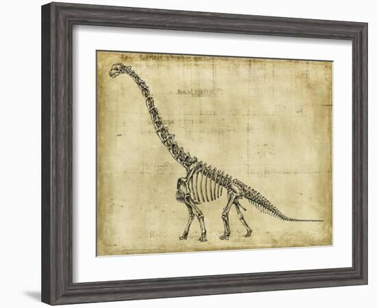 Brachiosaurus Study-Ethan Harper-Framed Art Print