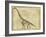 Brachiosaurus Study-Ethan Harper-Framed Art Print