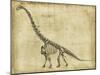 Brachiosaurus Study-Ethan Harper-Mounted Art Print