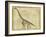 Brachiosaurus Study-Ethan Harper-Framed Art Print