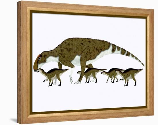 Brachylophosaurus with Offspring-Stocktrek Images-Framed Stretched Canvas