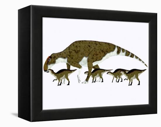 Brachylophosaurus with Offspring-Stocktrek Images-Framed Stretched Canvas