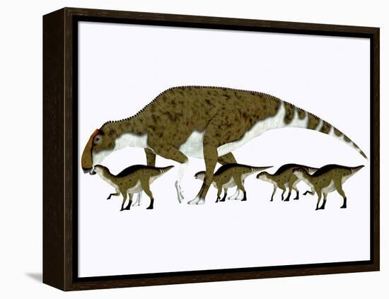 Brachylophosaurus with Offspring-Stocktrek Images-Framed Stretched Canvas