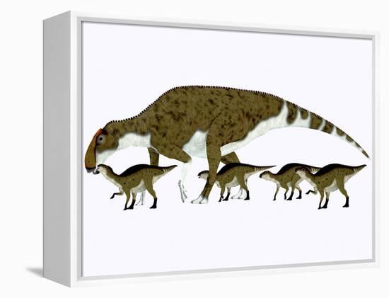 Brachylophosaurus with Offspring-Stocktrek Images-Framed Stretched Canvas