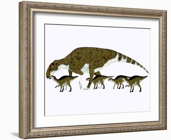 Brachylophosaurus with Offspring-Stocktrek Images-Framed Art Print