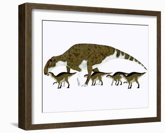 Brachylophosaurus with Offspring-Stocktrek Images-Framed Art Print