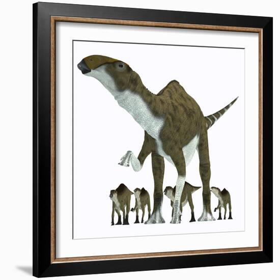 Brachylophosaurus with Offspring-Stocktrek Images-Framed Art Print