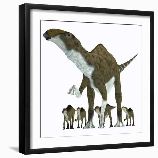 Brachylophosaurus with Offspring-Stocktrek Images-Framed Art Print