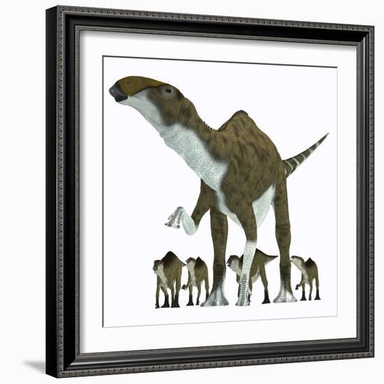 Brachylophosaurus with Offspring-Stocktrek Images-Framed Art Print