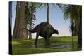 Stretched Canvas Print