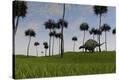 Stretched Canvas Print