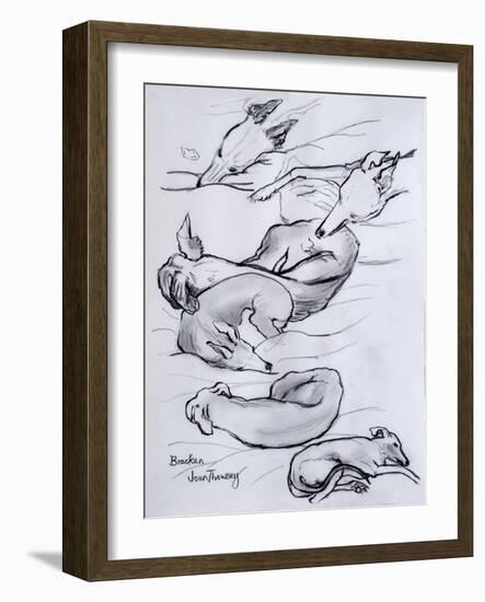 Bracken, the Whippet, 2000-Joan Thewsey-Framed Giclee Print