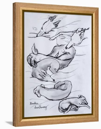 Bracken, the Whippet, 2000-Joan Thewsey-Framed Premier Image Canvas