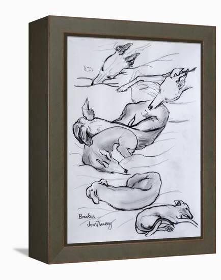 Bracken, the Whippet, 2000-Joan Thewsey-Framed Premier Image Canvas