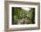 Bracklinn Falls, Callander, Loch Lomond and Trossachs National Park, Stirling, Scotland, UK-Gary Cook-Framed Photographic Print