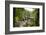 Bracklinn Falls, Callander, Loch Lomond and Trossachs National Park, Stirling, Scotland, UK-Gary Cook-Framed Photographic Print