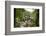 Bracklinn Falls, Callander, Loch Lomond and Trossachs National Park, Stirling, Scotland, UK-Gary Cook-Framed Photographic Print