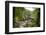 Bracklinn Falls, Callander, Loch Lomond and Trossachs National Park, Stirling, Scotland, UK-Gary Cook-Framed Photographic Print