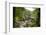 Bracklinn Falls, Callander, Loch Lomond and Trossachs National Park, Stirling, Scotland, UK-Gary Cook-Framed Photographic Print