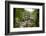 Bracklinn Falls, Callander, Loch Lomond and Trossachs National Park, Stirling, Scotland, UK-Gary Cook-Framed Photographic Print