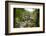 Bracklinn Falls, Callander, Loch Lomond and Trossachs National Park, Stirling, Scotland, UK-Gary Cook-Framed Photographic Print