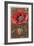 Bracted Poppy-null-Framed Art Print