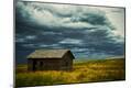 Photographic Print