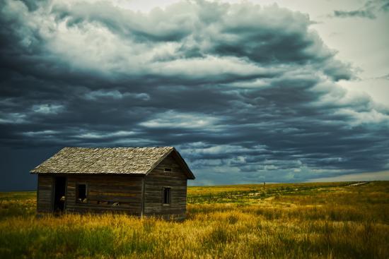Photographic Print, , large