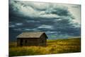 Photographic Print
