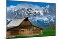 Photographic Print