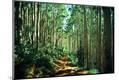 Photographic Print